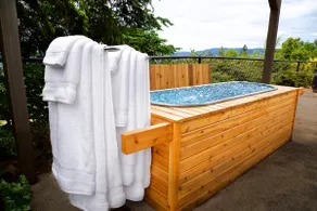 Parrett Mtn Estate: Hot Tub, Sauna, Cold Plunge, Fire Pit, Vine & Valley Views - Image 5