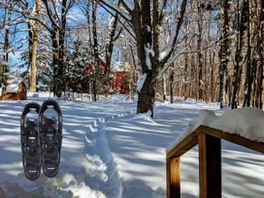 Home on MTU XC Ski Trails - Image 2
