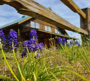Rustic Country Lodge Getaway ... - Image 5