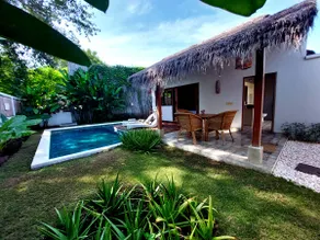 Prviate villa with garden and swimming pool - Image 2