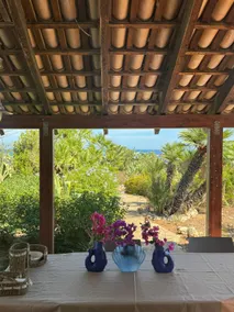 CasAmare - Image 4