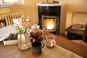 Pet and Breakfast Pet Friendly Country House - Image 2