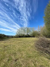 Large Family House on Plot - Image 3