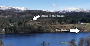 Alone In The Woods With Your Own River Nearby - Image 2