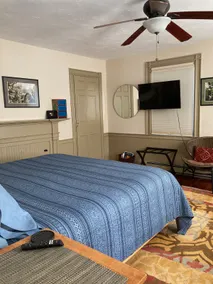 The Ginger Bed King Suite - Image 4