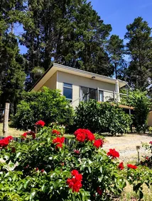 Karawatha Cottages - The Unwind - Image 2