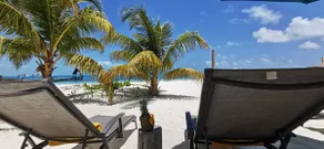 Villa Dzul Ha Best Location in Cancun NO SEAWEED - Image 4