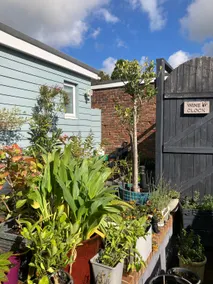 Appartment in garden of family home - Image 3