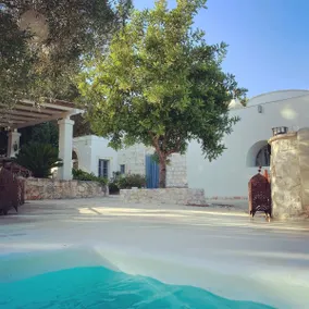 Trullo in the Pinewood, private pool, Puglia - Image 2