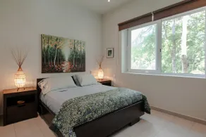 Jungle Luxury Stunning Private 25 m Pool Wi-fi - Image 4