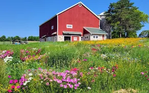 Peaceful weekend or extended stay, full amenities - Image 2