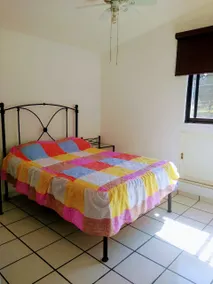 Quiet and spacious full house in Jiutepec - Image 5