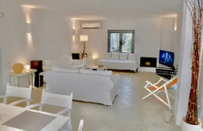 Spacious Seaside House 30 min from Athens - Image 3