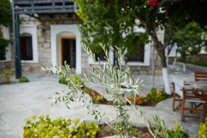 Conellian Beach front Villa in Ormos Lo - Image 5