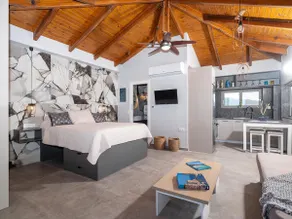 Rooftop villa/ lux suite with hot tub 360o views - Image 4