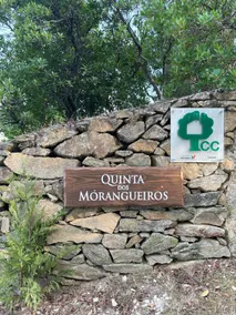 Quinta dos Morangueiros, Douro Valley - Image 3