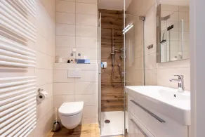 Superior apartment Salzburg city - Image 2