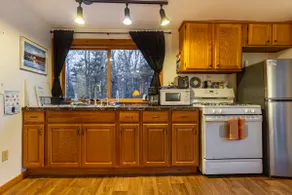 Cabin in the Woods - Image 3