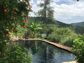 Cevennes, natural swimming pool, charm, exception - Image 4