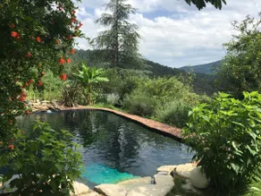 Cevennes, natural swimming pool, charm, exception - Image 5