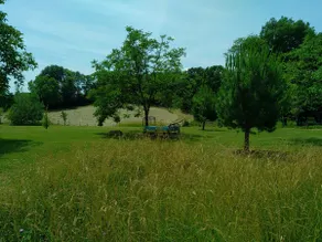 Exceptional location between Lascaux and Sarlat. - Image 5