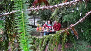 Casa Torta - your little place in Alfredo Wagner - Image 5