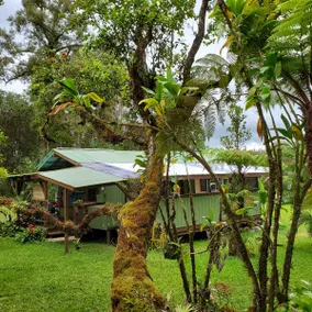 Charming Rainforest Cottage - Image 2