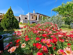 Sevi's Traditional House - Image 5