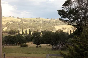 Waterloo Stockmans cottage, Glen Innes - Image 2