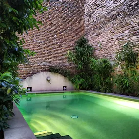 Camargue quiet holiday rental with garden access - Image 3