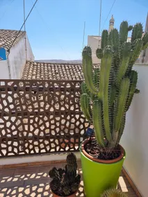 Lovely village house close to beaches & Sagres - Image 3
