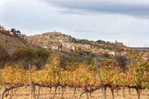 Navarra Country House Casa Aldabe - Image 4