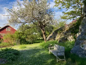 Summer house in lush garden close to the sea - Image 3