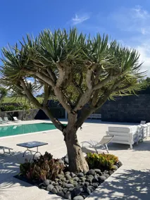 Quinta das Flores - Image 4