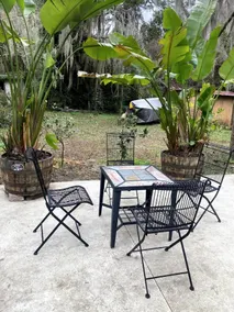 Frog Hammock - Image 2