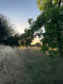 Beautiful and warm home in nature - Image 3