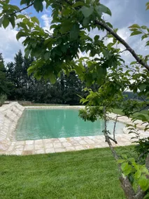 Megognano 3 - Image 2