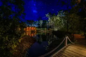 Soothing nature all the comforts! - Image 2
