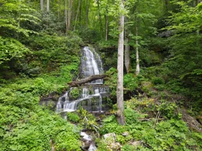 Private Mountain Paradise, Hot Tub Views, Sleep 16 - Image 5