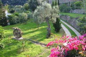 Finca-Ferienhaus Mimose in Son Salvanet - VT / 2189 - Image 3