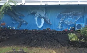 Une vue imprenable sur l'océan - Whale House Hawaii - Image 5
