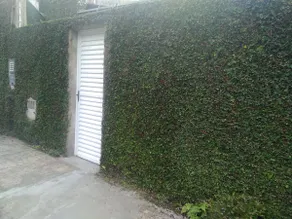 San Pellegrino - Image 4