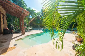 Akumal Jungle Villa 4 br, Private Cenote and pool - Image 4