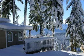 Eagles Nest, Romantic escape away from everything! - Image 4