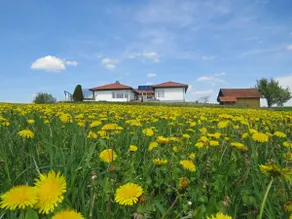 Dream vacation home XXL Ortner - Image 3