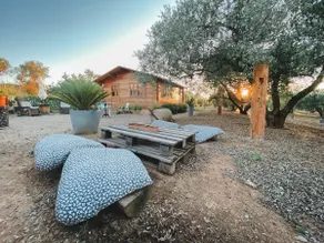 Rustic house with pool and olive trees on private property - Image 4