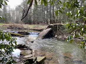 Creekside Log Cabin w/AC & Wifi near Thomas/Davis - Image 3