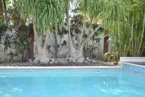 Casa Kiin - Image 2