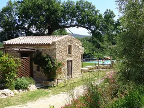 Cozy cottage, shared pool - Tuscany - Image 4