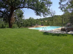 Cozy cottage, shared pool - Tuscany - Image 3